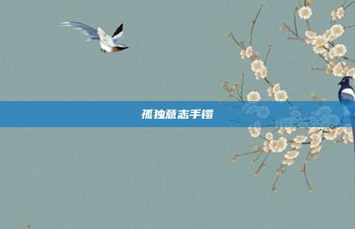 孤独意志手镯