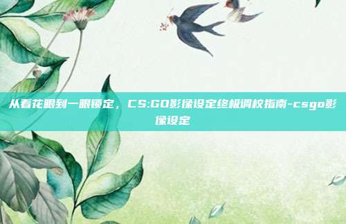 从看花眼到一眼锁定，CS:GO影像设定终极调校指南-csgo影像设定