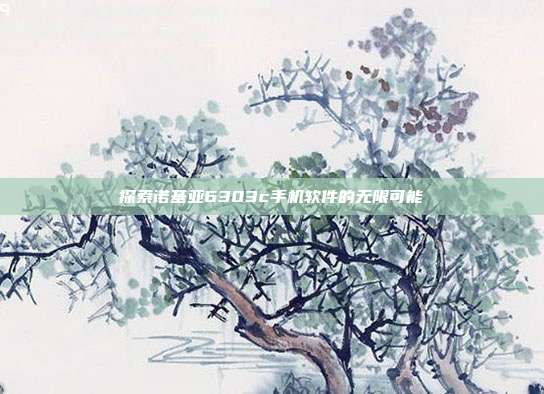 探索诺基亚6303c手机软件的无限可能