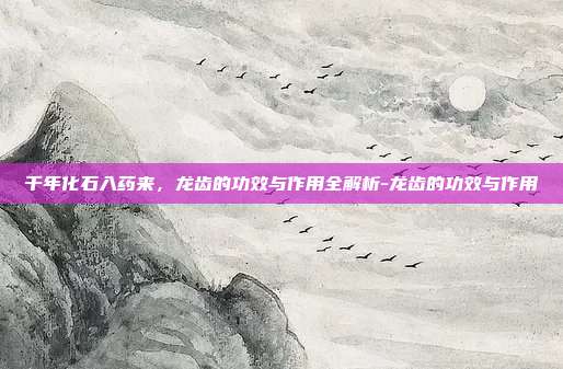 千年化石入药来，龙齿的功效与作用全解析-龙齿的功效与作用