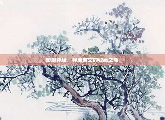 箱娘存档，穿越时空的收藏之旅