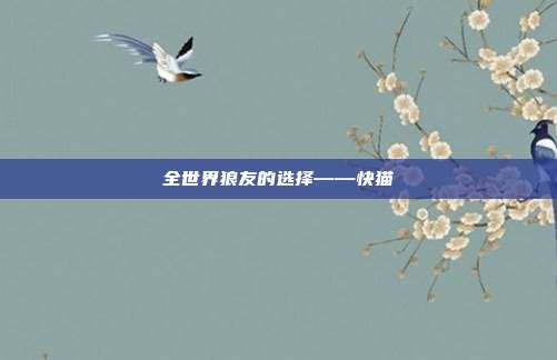 全世界狼友的选择——快猫