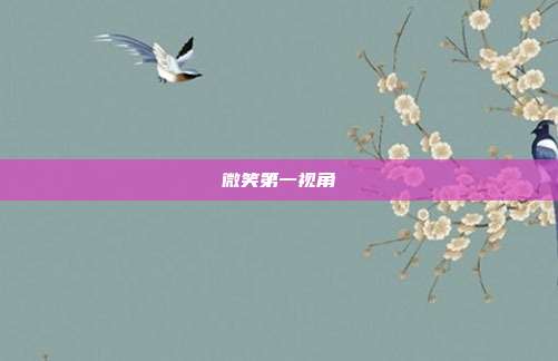 微笑第一视角