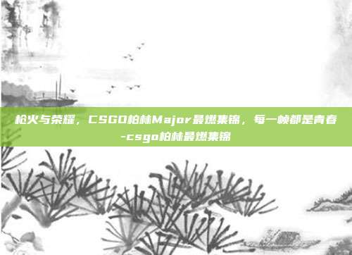 枪火与荣耀，CSGO柏林Major最燃集锦，每一帧都是青春-csgo柏林最燃集锦