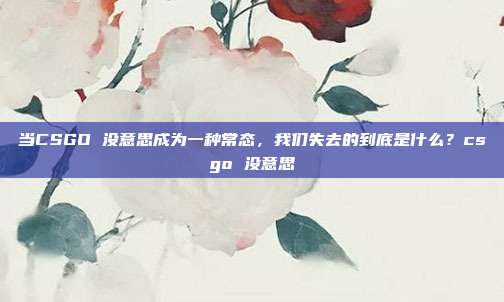 当CSGO 没意思成为一种常态，我们失去的到底是什么？csgo 没意思