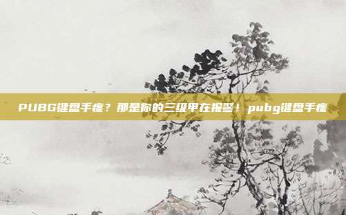 PUBG键盘手疼？那是你的三级甲在报警！pubg键盘手疼