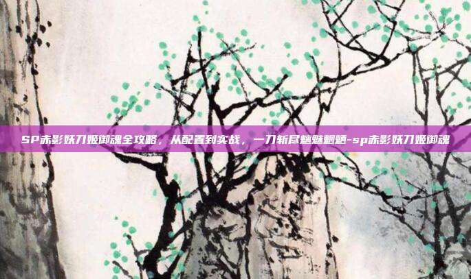 SP赤影妖刀姬御魂全攻略，从配置到实战，一刀斩尽魑魅魍魉-sp赤影妖刀姬御魂