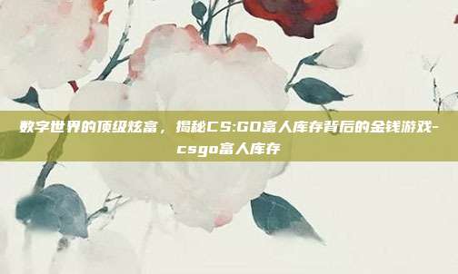 数字世界的顶级炫富，揭秘CS:GO富人库存背后的金钱游戏-csgo富人库存