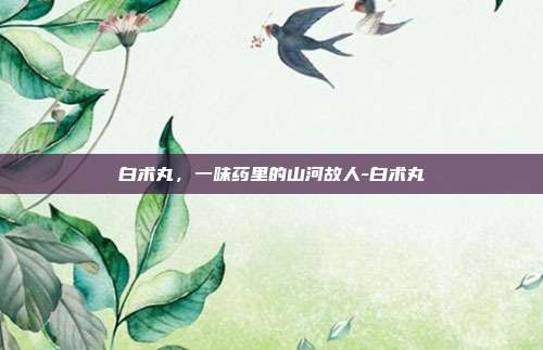 白术丸，一味药里的山河故人-白术丸