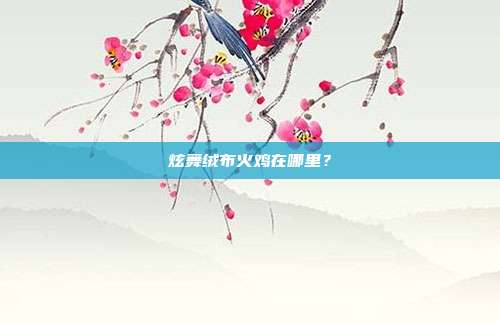 炫舞绒布火鸡在哪里？