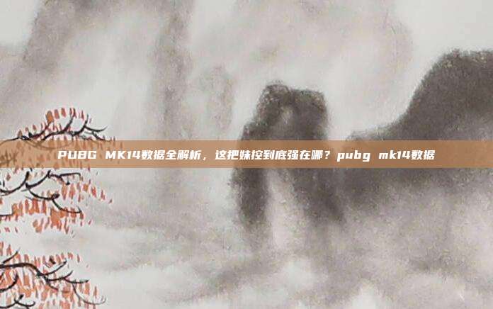 PUBG MK14数据全解析，这把妹控到底强在哪？pubg mk14数据