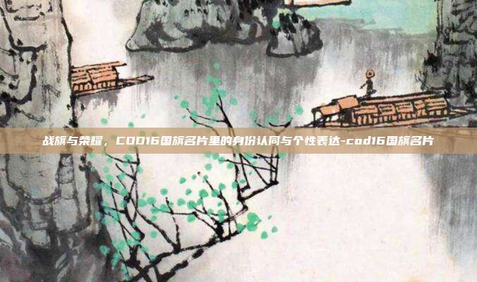 战旗与荣耀，COD16国旗名片里的身份认同与个性表达-cod16国旗名片