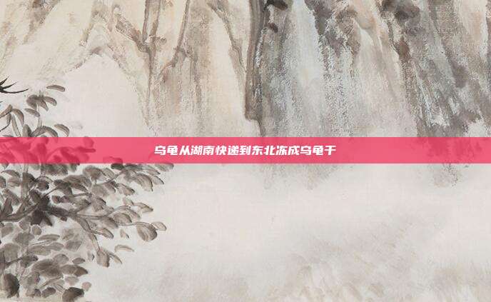 乌龟从湖南快递到东北冻成乌龟干
