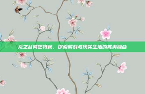 龙之谷网吧特权，探索游戏与现实生活的完美融合