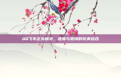 QQ飞车正头精灵，速度与激情的完美结合