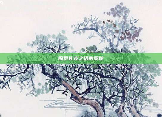 探索扎克之塔的奥秘