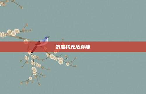 勿忘我无法存档
