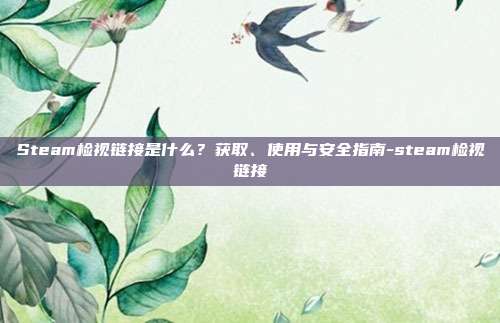 Steam检视链接是什么？获取、使用与安全指南-steam检视链接
