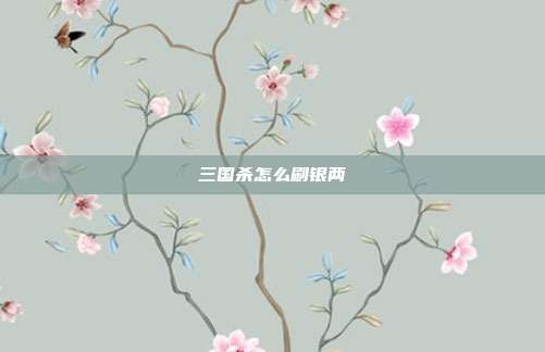 三国杀怎么刷银两
