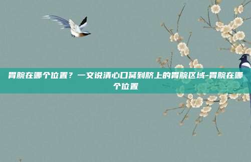 胃脘在哪个位置？一文说清心口窝到脐上的胃脘区域-胃脘在哪个位置