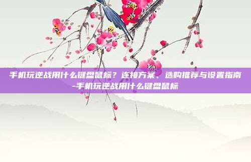 手机玩逆战用什么键盘鼠标?连接方案、选购推荐与设置指南-手机玩逆战用什么键盘鼠标