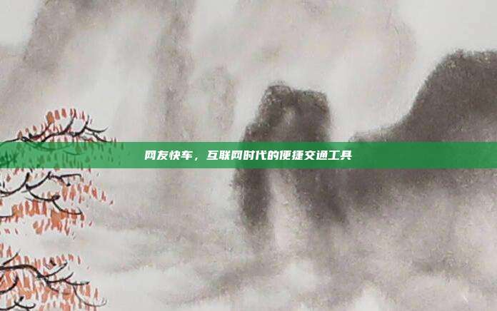 网友快车,互联网时代的便捷交通工具