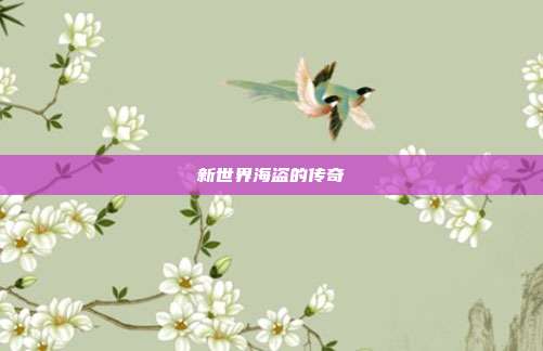 新世界海盗的传奇