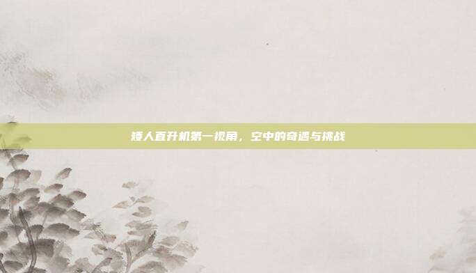 矮人直升机第一视角,空中的奇遇与挑战