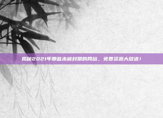 揭秘2021年那些未被封禁的网站，免费资源大放送！