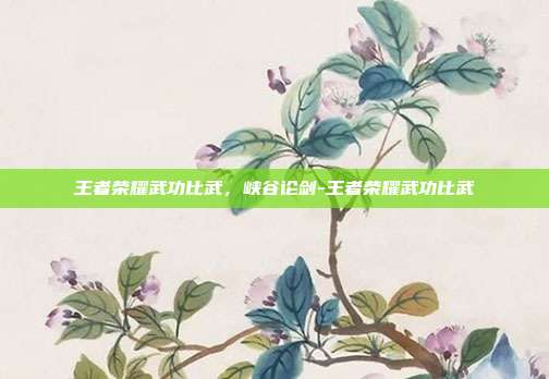 王者荣耀武功比武,峡谷论剑-王者荣耀武功比武