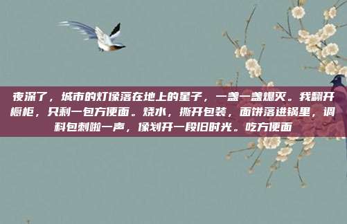 夜深了，城市的灯像落在地上的星子，一盏一盏熄灭。我翻开橱柜，只剩一包方便面。烧水，撕开包装，面饼落进锅里，调料包刺啦一声，像划开一段旧时光。吃方便面