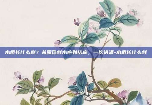 水痘长什么样?从露珠样水疱到结痂,一次讲清-水痘长什么样