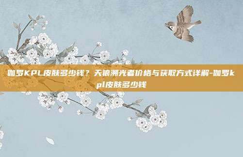 伽罗KPL皮肤多少钱？天狼溯光者价格与获取方式详解-伽罗kpl皮肤多少钱