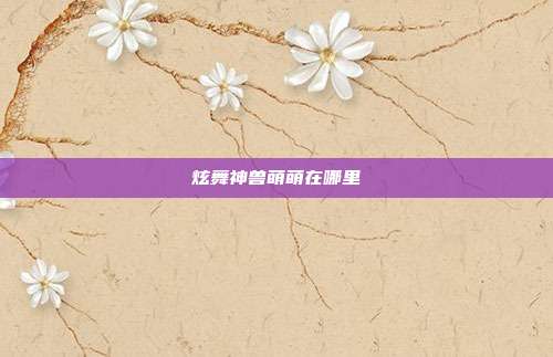 炫舞神兽萌萌在哪里