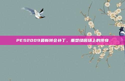 PES2009最新转会补丁，重塑绿茵场上的传奇