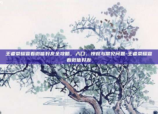 王者荣耀查看微信好友全攻略，入口、授权与常见问题-王者荣耀查看微信好友