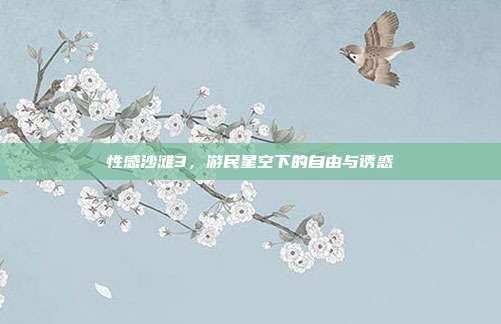 性感沙滩3，游民星空下的自由与诱惑
