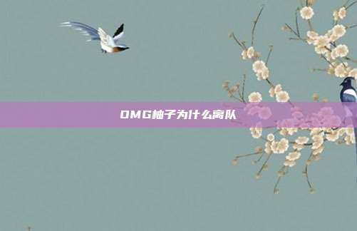 OMG柚子为什么离队