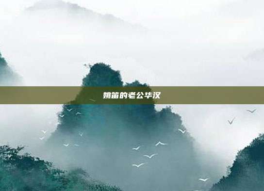 姚笛的老公华汉