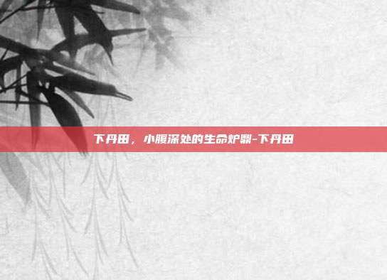 下丹田,小腹深处的生命炉鼎-下丹田