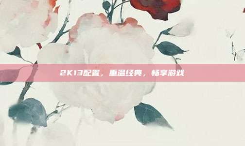 2K13配置,重温经典,畅享游戏