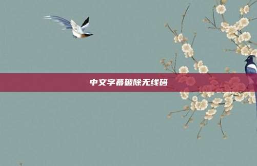 中文字幕破除无线码