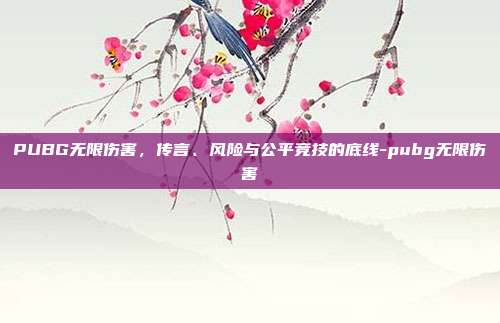 PUBG无限伤害，传言、风险与公平竞技的底线-pubg无限伤害