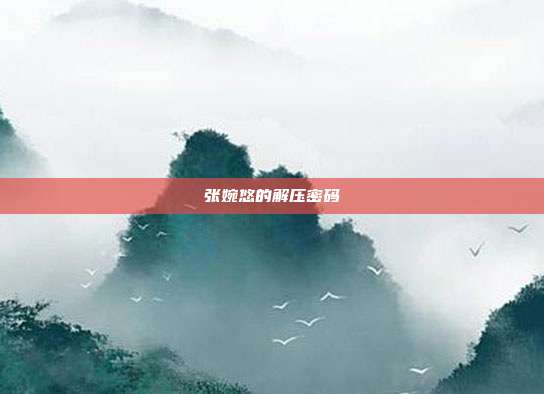 张婉悠的解压密码