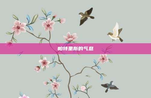 帕特里斯的气息