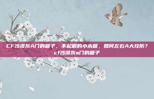 CF沙漠灰A门的箱子,不起眼的小木箱,如何左右A大攻防?cf沙漠灰a门的箱子