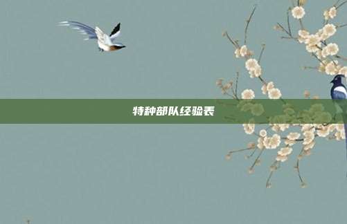 特种部队经验表