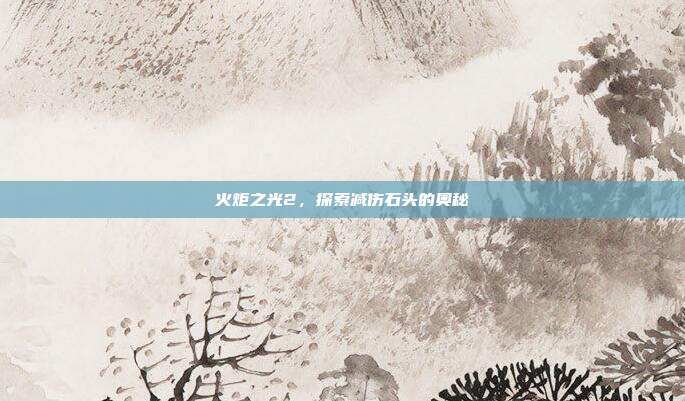 火炬之光2,探索减伤石头的奥秘