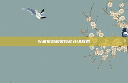 轩辕传奇刺客技能升级攻略