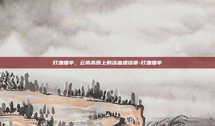 灯盏细辛,云南高原上的活血通络草-灯盏细辛
